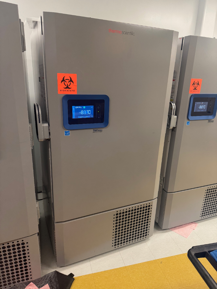 Image of Thermo TSX -80C Ultra Low Temp Freezer